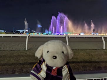 東京メガイルミに投稿された画像（2021/11/7）