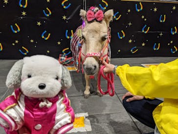 東京メガイルミに投稿された画像（2021/11/7）