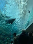 名古屋港水族館に投稿された画像（2021/11/7）