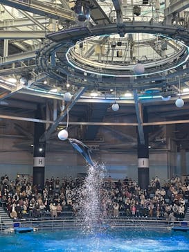 マクセル アクアパーク品川に投稿された画像（2021/11/7）