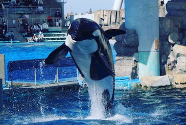 名古屋港水族館に投稿された画像（2021/11/7）