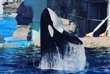 名古屋港水族館に投稿された画像（2021/11/7）