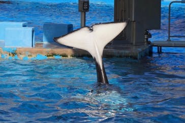 名古屋港水族館に投稿された画像（2021/11/7）
