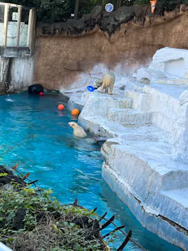 天王寺動物園に投稿された画像（2021/11/7）