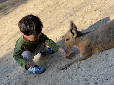 長崎バイオパークに投稿された画像（2021/11/7）