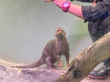 マクセル アクアパーク品川に投稿された画像（2021/11/7）