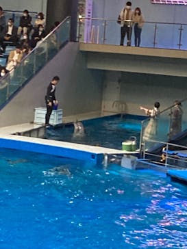 マクセル アクアパーク品川に投稿された画像（2021/11/7）