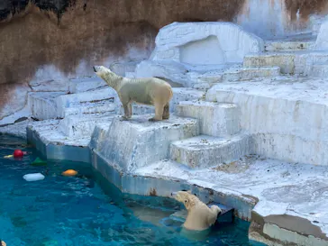 天王寺動物園に投稿された画像（2021/11/7）