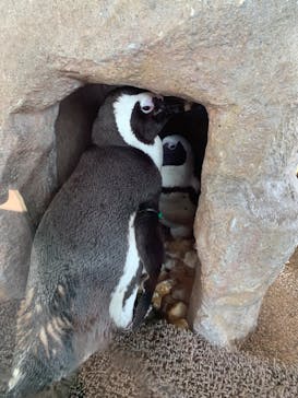 京都水族館に投稿された画像（2021/11/7）