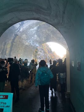清津峡渓谷トンネルに投稿された画像（2021/11/7）