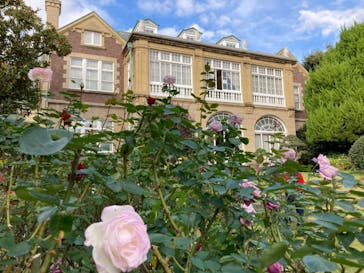 鳩山会館に投稿された画像（2021/11/7）