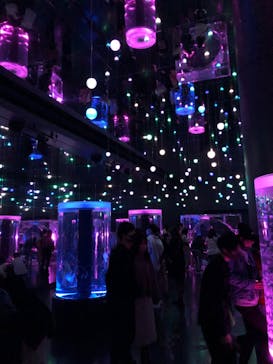 マクセル アクアパーク品川に投稿された画像（2021/11/7）