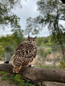 しろとり動物園に投稿された画像（2021/11/7）