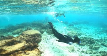 DIVING-SHOP SUNSに投稿された画像（2021/11/7）