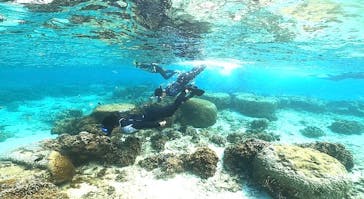 DIVING-SHOP SUNSに投稿された画像（2021/11/7）