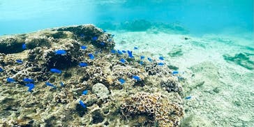 DIVING-SHOP SUNSに投稿された画像（2021/11/7）