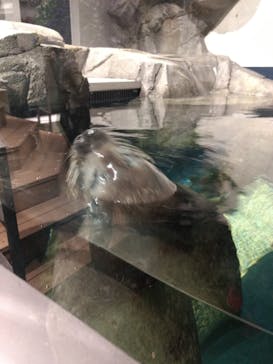 神戸みなと温泉 蓮に投稿された画像（2021/11/7）