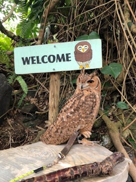 伊豆シャボテン動物公園に投稿された画像（2021/11/7）