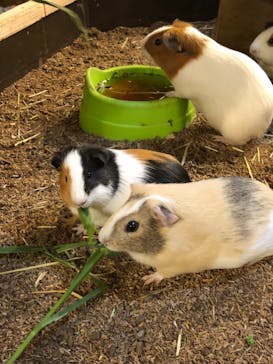 伊豆シャボテン動物公園に投稿された画像（2021/11/7）