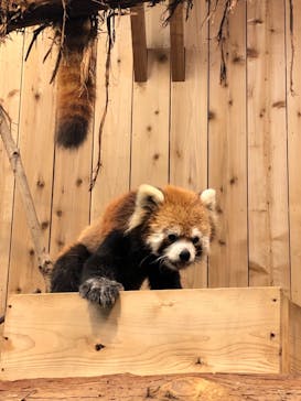 伊豆シャボテン動物公園に投稿された画像（2021/11/7）