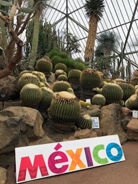 伊豆シャボテン動物公園に投稿された画像（2021/11/7）