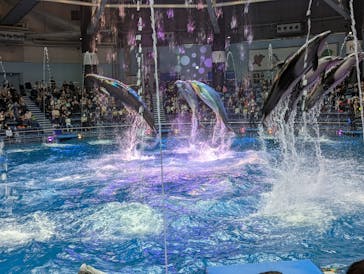 マクセル アクアパーク品川に投稿された画像（2021/11/7）