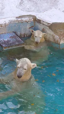 天王寺動物園に投稿された画像（2021/11/7）