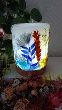 ずこうしつ〜sugamo〜に投稿された画像（2021/11/7）