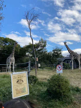 天王寺動物園に投稿された画像（2021/11/7）