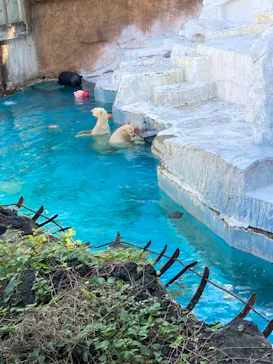 天王寺動物園に投稿された画像（2021/11/7）