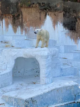 天王寺動物園に投稿された画像（2021/11/7）