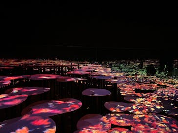 森ビル デジタルアート ミュージアム：エプソン チームラボボーダレスに投稿された画像（2021/11/7）