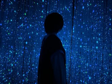 森ビル デジタルアート ミュージアム：エプソン チームラボボーダレスに投稿された画像（2021/11/7）