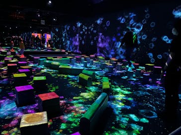 森ビル デジタルアート ミュージアム：エプソン チームラボボーダレスに投稿された画像（2021/11/7）