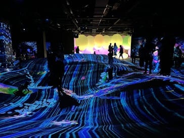 森ビル デジタルアート ミュージアム：エプソン チームラボボーダレスに投稿された画像（2021/11/7）