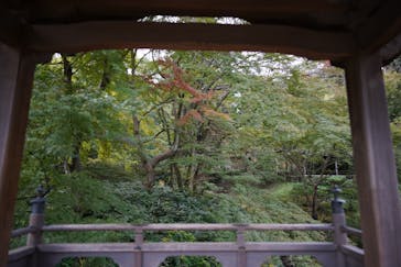 三溪園に投稿された画像（2021/11/7）