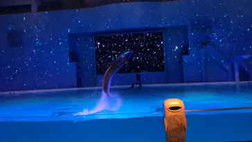 横浜・八景島シーパラダイスに投稿された画像（2021/11/7）