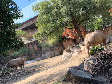 天王寺動物園に投稿された画像（2021/11/7）
