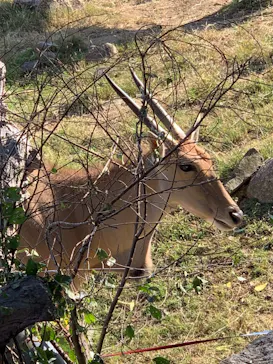 天王寺動物園に投稿された画像（2021/11/7）