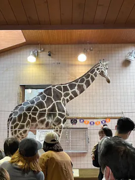 天王寺動物園に投稿された画像（2021/11/7）