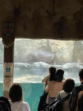 天王寺動物園に投稿された画像（2021/11/7）