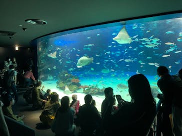 サンシャイン水族館に投稿された画像（2021/11/7）