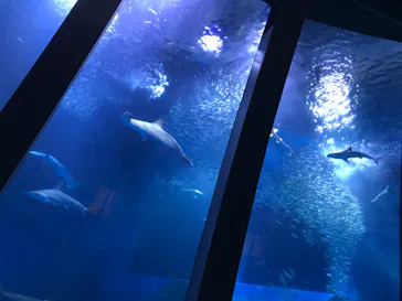 横浜・八景島シーパラダイスに投稿された画像（2021/11/7）