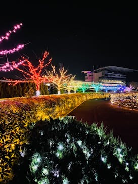 東京メガイルミに投稿された画像（2021/11/7）