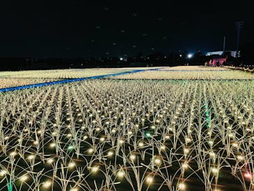 東京メガイルミに投稿された画像（2021/11/7）