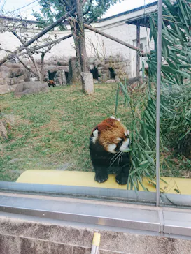 天王寺動物園に投稿された画像（2021/11/7）