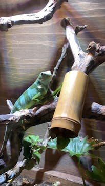 体感型動物園iZooに投稿された画像（2021/11/7）