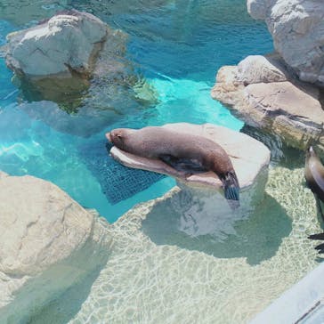 京都水族館に投稿された画像（2021/11/7）