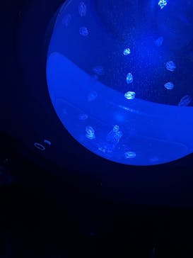 サンシャイン水族館に投稿された画像（2021/11/7）