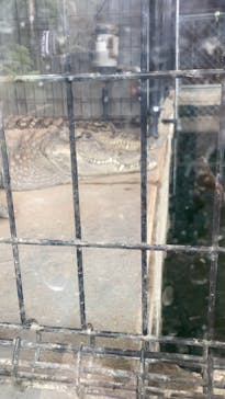 体感型動物園iZooに投稿された画像（2021/11/7）